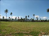 Balneario de Luquillo - LUQUILLO